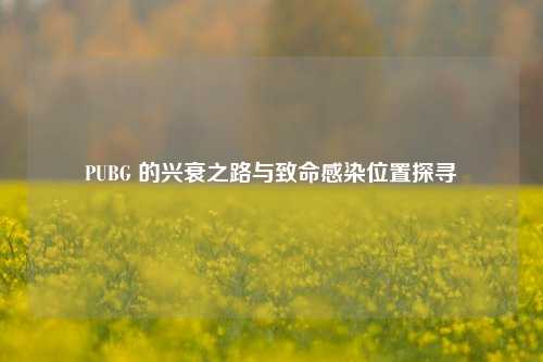 PUBG 的兴衰之路与致命感染位置探寻