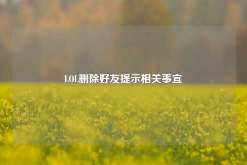 LOL删除好友提示相关事宜