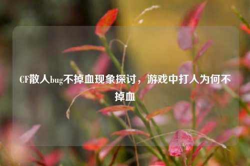 CF散人bug不掉血现象探讨，游戏中打人为何不掉血