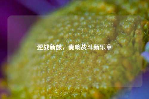逆战新鼓，奏响战斗新乐章
