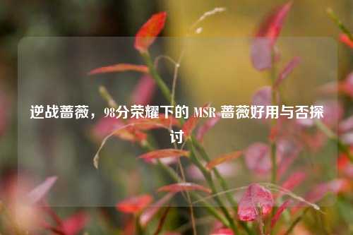 逆战蔷薇，98分荣耀下的 MSR 蔷薇好用与否探讨