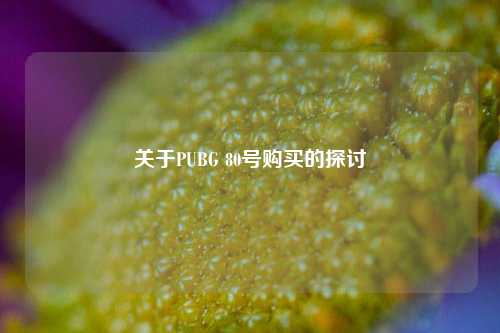 关于PUBG 80号购买的探讨