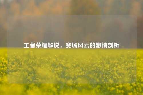 王者荣耀解说，赛场风云的激情剖析