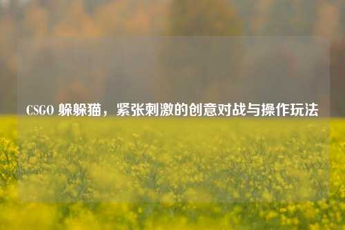 CSGO 躲躲猫，紧张刺激的创意对战与操作玩法