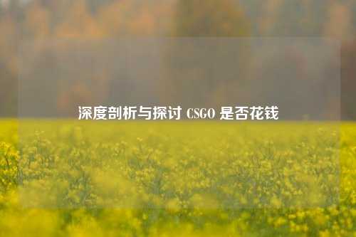 深度剖析与探讨 CSGO 是否花钱