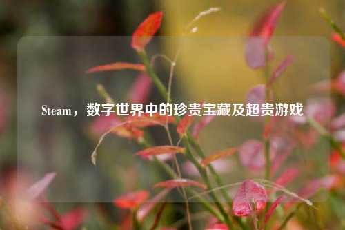 Steam，数字世界中的珍贵宝藏及超贵游戏