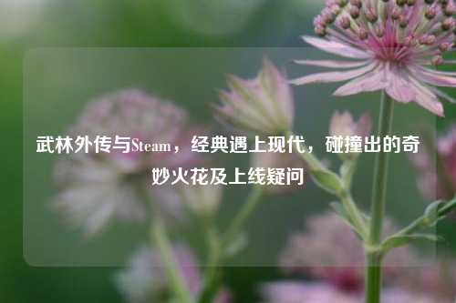 武林外传与Steam,经典遇上现代,碰撞出的奇妙火花及上线疑问