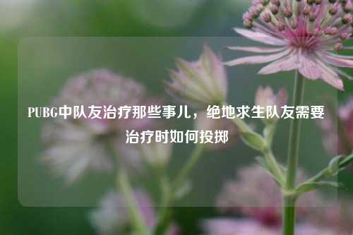 PUBG中队友治疗那些事儿，绝地求生队友需要治疗时如何投掷