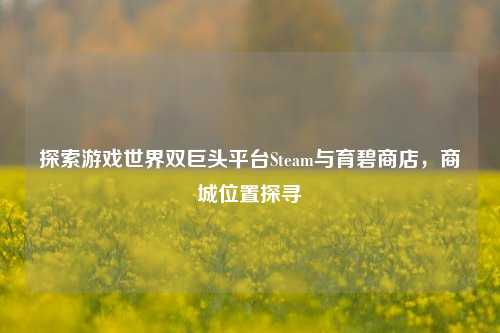 探索游戏世界双巨头平台Steam与育碧商店,商城位置探寻