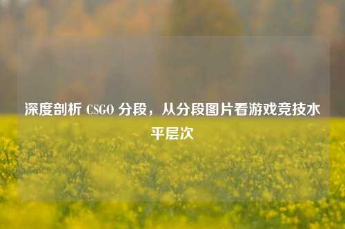 深度剖析 CSGO 分段,从分段图片看游戏竞技水平层次
