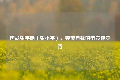 逆战张宇涵(张小宇),突破自我的电竞逐梦路