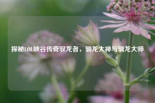 探秘LOL峡谷传奇驭龙者，驯龙大神与驯龙大师
