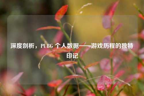 深度剖析，PUBG 个人数据——游戏历程的独特印记