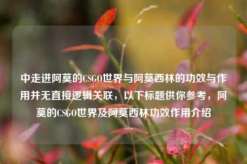中走进阿莫的CSGO世界与阿莫西林的功效与作用并无直接逻辑关联,以下标题供你参考,阿莫的CSGO世界及阿莫西林功效作用介绍