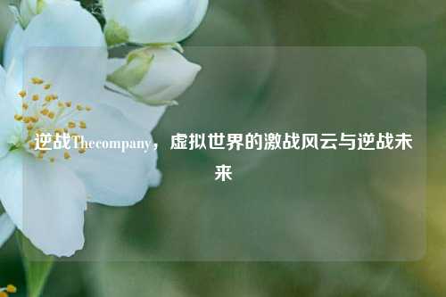 逆战Thecompany，虚拟世界的激战风云与逆战未来