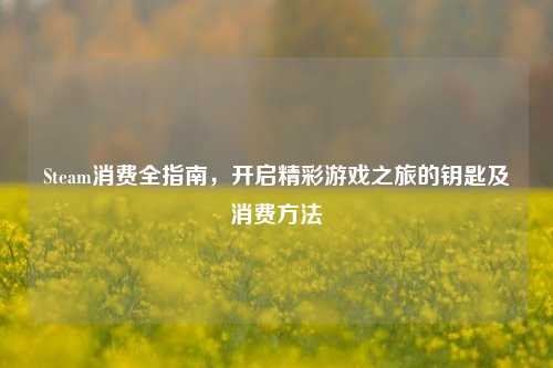 Steam消费全指南,开启精彩游戏之旅的钥匙及消费方法