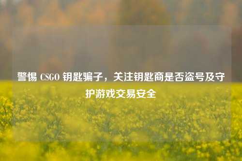 警惕 CSGO 钥匙骗子,关注钥匙商是否盗号及守护游戏交易安全