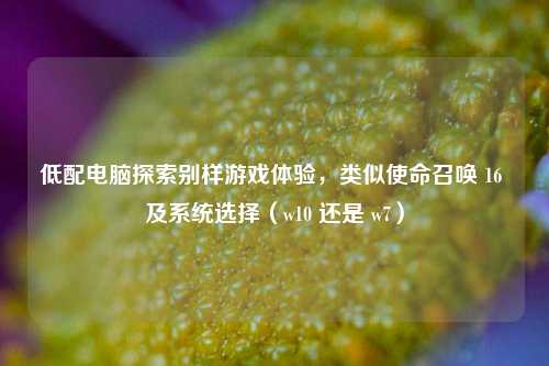 低配电脑探索别样游戏体验,类似使命召唤 16 及系统选择(w10 还是 w7)