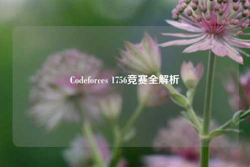 Codeforces 1756竞赛全解析