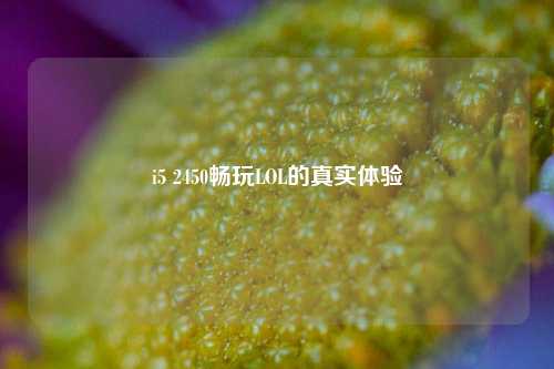 i5 2450畅玩LOL的真实体验