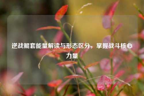 逆战鲲套能量解读与形态区分,掌握战斗核心力量