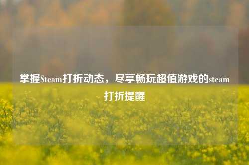 掌握Steam打折动态,尽享畅玩超值游戏的steam打折提醒