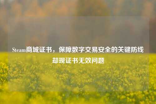 Steam商城证书,保障数字交易安全的关键防线却现证书无效问题
