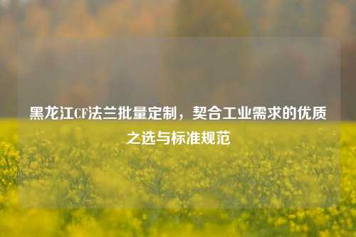 黑龙江CF法兰批量定制,契合工业需求的优质之选与标准规范