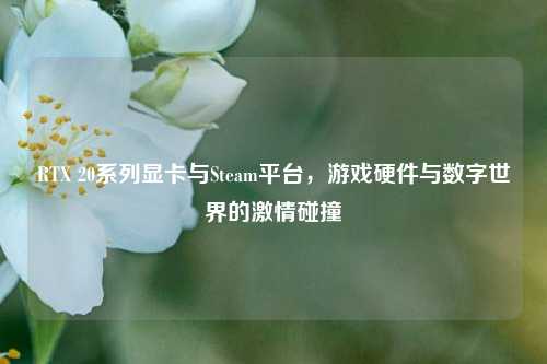 RTX 20系列显卡与Steam平台，游戏硬件与数字世界的激情碰撞