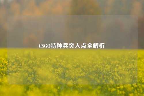 CSGO特种兵突入点全解析