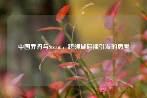 中国乔丹与Steam，跨领域碰撞引发的思考