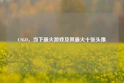 CSGO,当下最火游戏及其最火十张头像