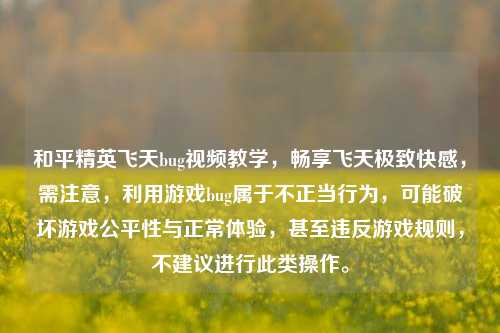 和平精英飞天bug视频教学,畅享飞天极致快感,需注意,利用游戏bug属于不正当行为,可能破坏游戏公平性与正常体验,甚至违反游戏规则,不建议进行此类操作。