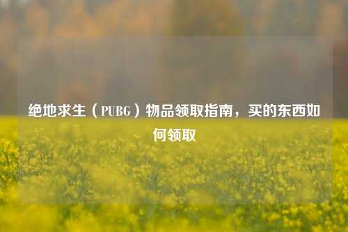 绝地求生(PUBG)物品领取指南,买的东西如何领取