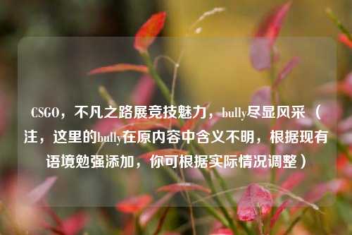 CSGO,不凡之路展竞技魅力,bully尽显风采 (注,这里的bully在原内容中含义不明,根据现有语境勉强添加,你可根据实际情况调整)