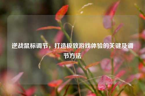逆战鼠标调节，打造极致游戏体验的关键及调节方法