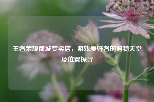 王者荣耀商城专卖店，游戏爱好者的购物天堂及位置探寻