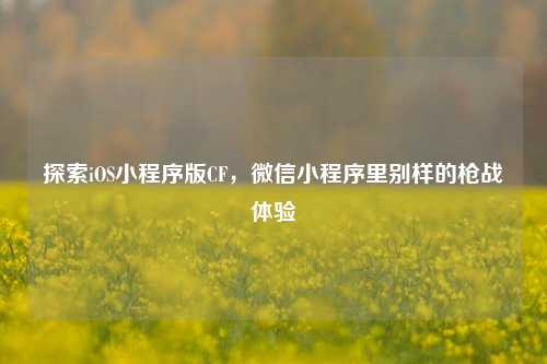 探索iOS小程序版CF,微信小程序里别样的枪战体验