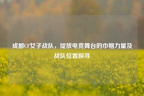 成都CF女子战队，绽放电竞舞台的巾帼力量及战队位置探寻