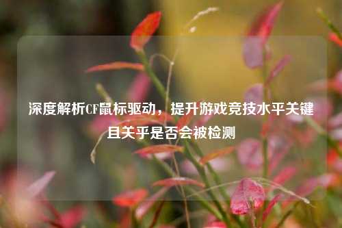 深度解析CF鼠标驱动,提升游戏竞技水平关键且关乎是否会被检测