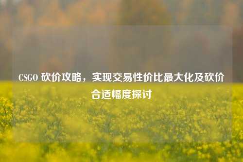CSGO 砍价攻略,实现交易性价比最大化及砍价合适幅度探讨