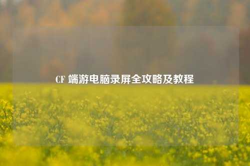 CF 端游电脑录屏全攻略及教程