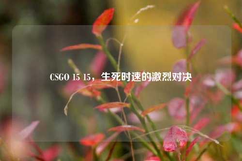 CSGO 15 15,生死时速的激烈对决