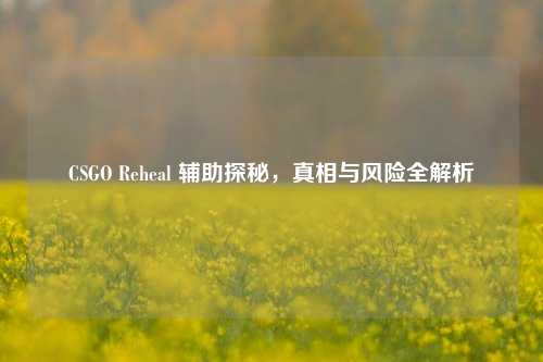 CSGO Reheal 辅助探秘,真相与风险全解析