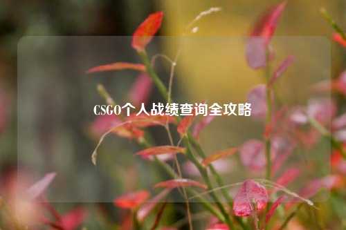 CSGO个人战绩查询全攻略