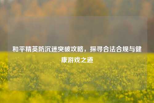 和平精英防沉迷突破攻略,探寻合法合规与健康游戏之道