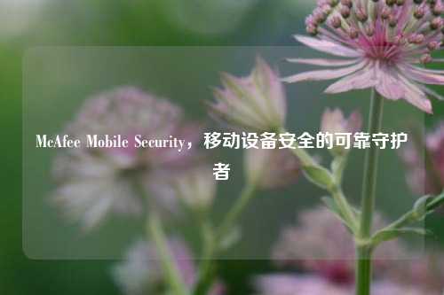 McAfee Mobile Security,移动设备安全的可靠守护者