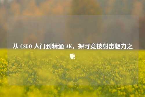 从 CSGO 入门到精通 AK,探寻竞技射击魅力之旅
