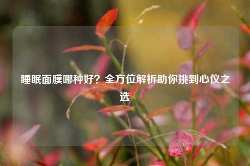 睡眠面膜哪种好?全方位解析助你挑到心仪之选