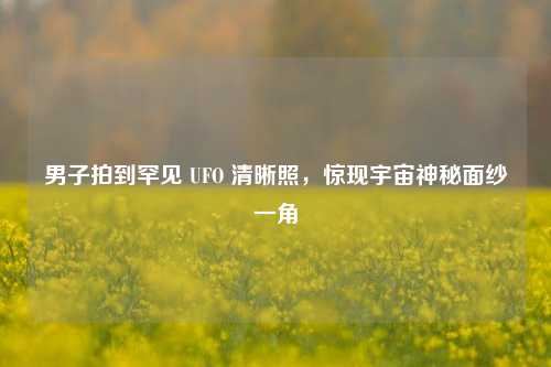 男子拍到罕见 UFO 清晰照,惊现宇宙神秘面纱一角